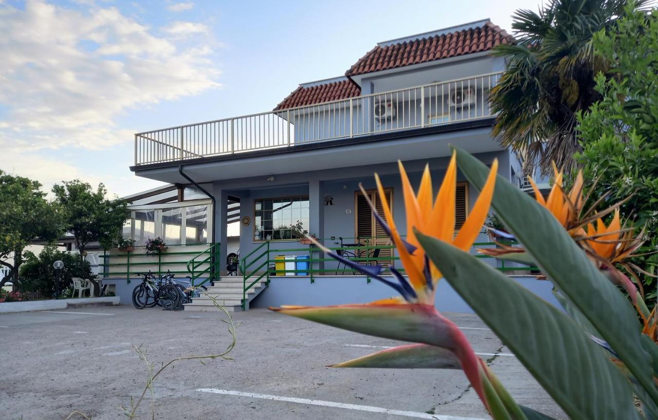 Affittacamere Il Tulipano Beach フォルミア エクステリア 写真